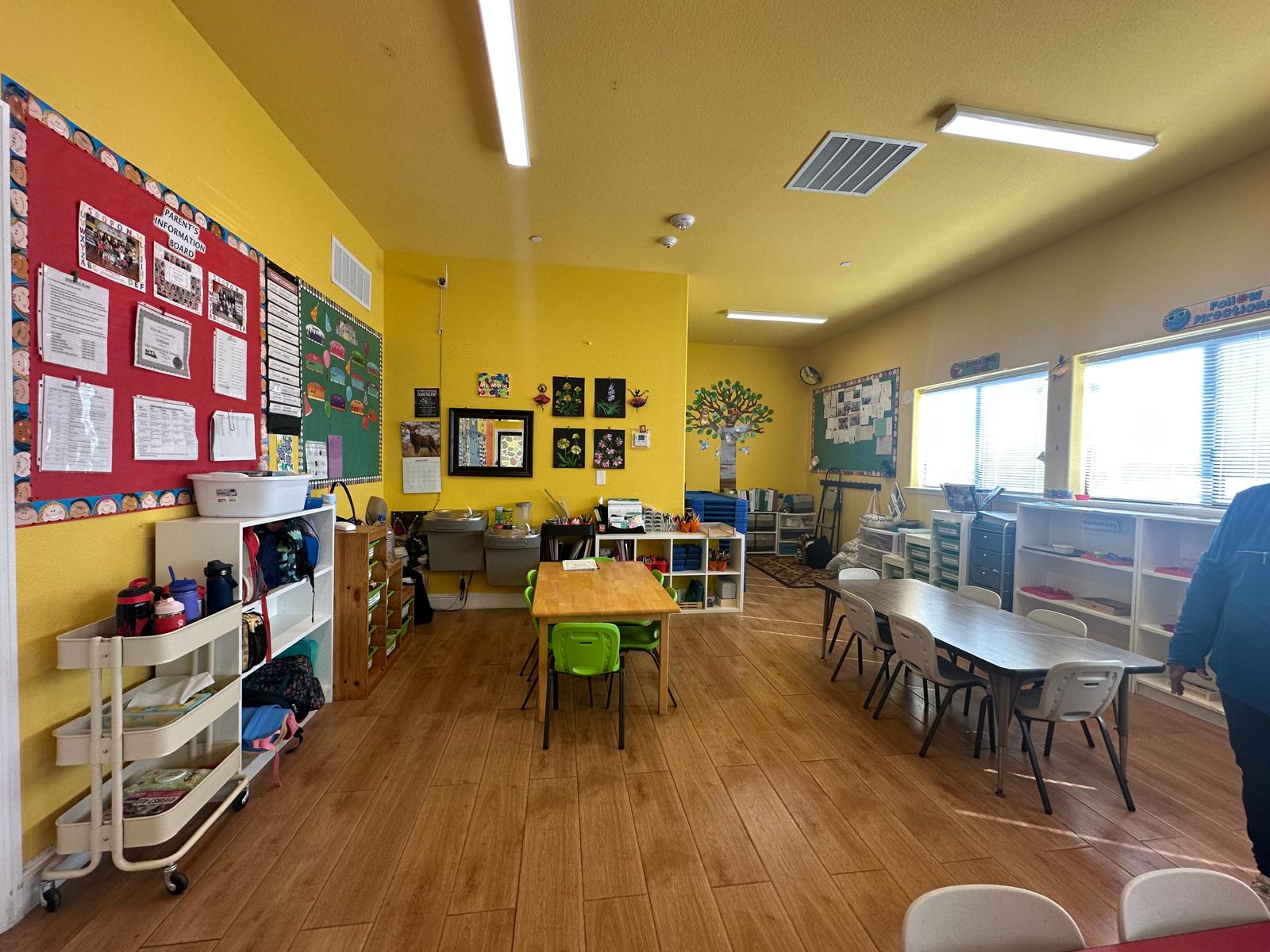 Colorful toy cars are lined up in a grassy playground with a shaded play area featuring slides and climbing structures, designed for children's play.